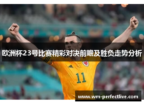 欧洲杯23号比赛精彩对决前瞻及胜负走势分析