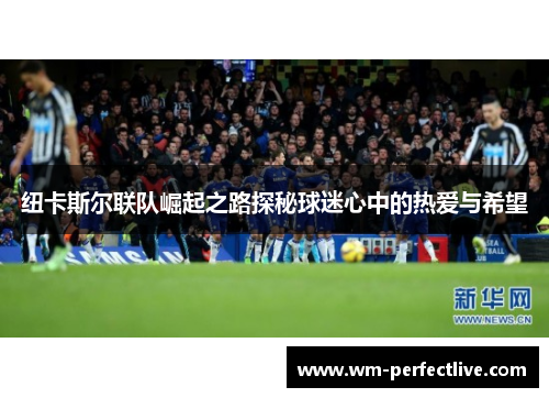 纽卡斯尔联队崛起之路探秘球迷心中的热爱与希望