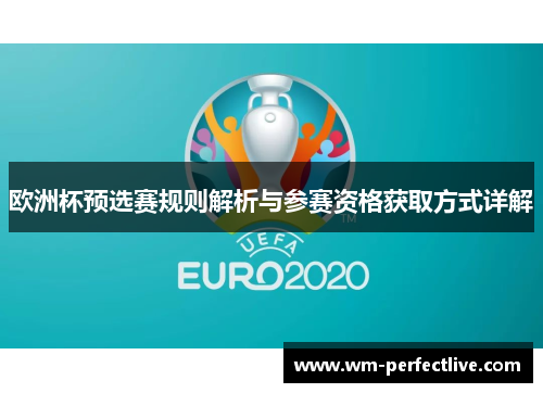 欧洲杯预选赛规则解析与参赛资格获取方式详解