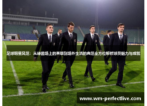 足球明星风范：从绿茵场上的英雄到场外生活的典范全方位解析球员魅力与成就