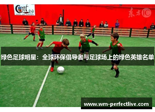 绿色足球明星：全球环保倡导者与足球场上的绿色英雄名单