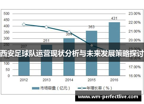 西安足球队运营现状分析与未来发展策略探讨