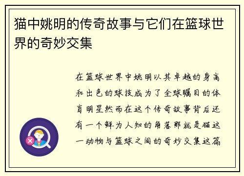 猫中姚明的传奇故事与它们在篮球世界的奇妙交集