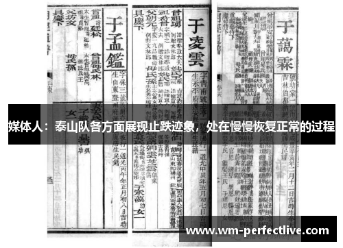 媒体人：泰山队各方面展现止跌迹象，处在慢慢恢复正常的过程