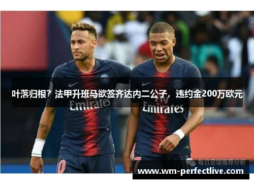 叶落归根？法甲升班马欲签齐达内二公子，违约金200万欧元