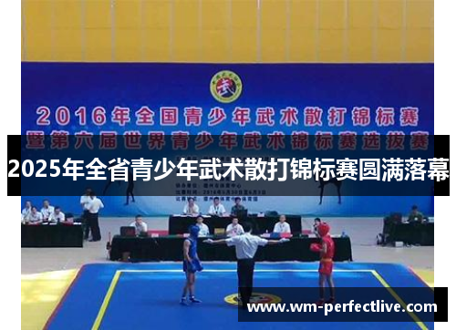 2025年全省青少年武术散打锦标赛圆满落幕